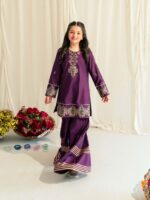 Sweet Irish – Screen Printed Cotton Silk 2-Piece Pakistani Dress for Girls | Triple - Image 3