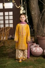 Areeb – Embroidered Cotton Lawn 3-Piece Pakistani Dress for Girls | Triple