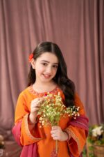 Afshan – Embroidered Cotton Lawn 3-Piece Pakistani Dress for Girls | Triple - Image 6