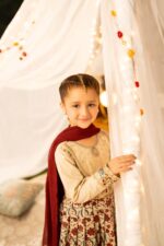 Mishri – Embroidered Cotton Lawn 3-Piece Pakistani Dress for Girls | Triple - Image 5